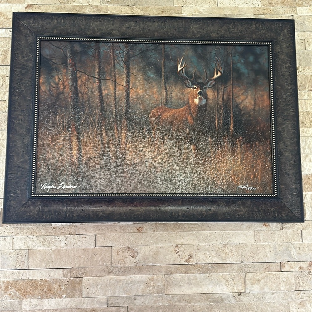 New deer pic